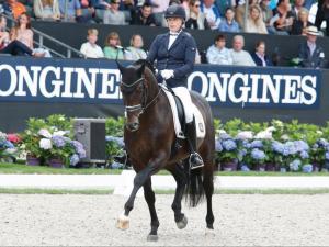 World Championships in Ermelo, Sir Olli, Sir Donnerhall I, Florestan I, Landadel