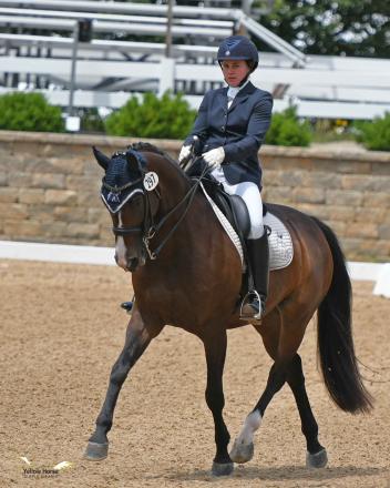 essie Hayes of New Jersey and Hanoverian mare Rivendell claimed the Third Level Open Championship for small horses. Photo by Jennifer M. Keeler.