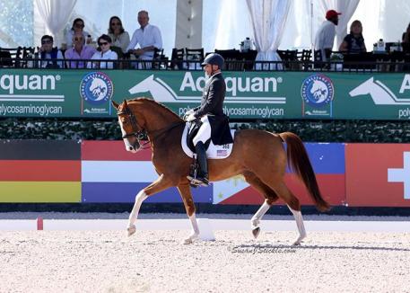 Steffen Peters and Bailarino