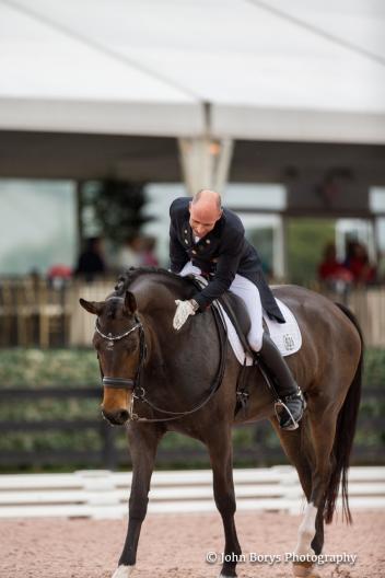 Steffen Peters Rosamunde