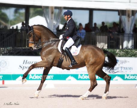 Steffen Peters and Rosamunde