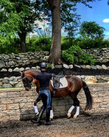 Stephen working the piaffe in hand with Cecelia Stabile’s Lusitano Stallion, Orgulhoso HI at Milton House Farm (Photo: Amanda Diefenbach Photography)