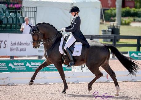 Unbeaten: Great Britain's Susan Pape triumphs at prix st georges with Harmony's Eclectisch (Photo: ©SusanJStickle)