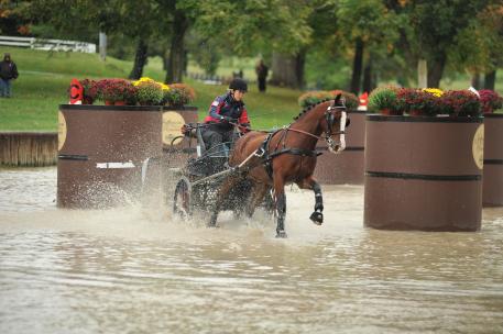 Stafford and 'Micha' in Kentucky Classic CDE Marathon Phase