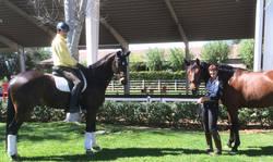David Wightman, Silberpfeil, Kathleen Raine, Breanna, Hanoverian