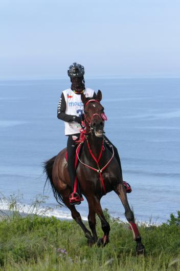 Winner of the FEI World Endurance™ Young Rider's Chile 2015 was Al Khatri Fahad Helal Mohamed riding Poly DE Coat Frity.