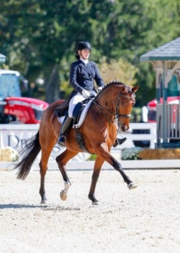 Zania, Sir Sinclair, Iron Spring Farm, Jami Kment