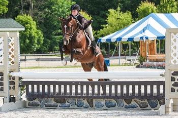 Ashley Foster, pictured aboard Light Edition, maintains the competitive edge necessary for NCAA competition thanks to spending her summers competing at the Vermont Summer Festival.  Foster is a member of the Division I Equestrian Team at Auburn University. Photograph by David Mullinix Photography