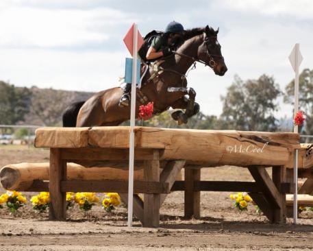 Eveready II and Barb Crabo, winners of the 2014 Galway Downs CCI3*, are among the favorites for this week's Galway Downs CIC3*.
