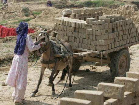 Thousands of horses, donkeys and mules work in brick kilns across Central Asia. In India alone, 50,000 brick kilns produce 140 billion bricks annually. The Brooke works in several hundred kilns to improve the lives of the animals who toil in these harsh environments alongside their poor owners. 