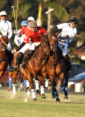 Adolfo Cambiaso Nic Roldan and Guillermo Terrera (Photo: Alex Pacheco)