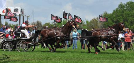 Chester Weber set the pace in the Marathon at the 2014 Live Oak International (Photo: PicsofYou.com)