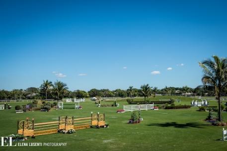 The derby field at The Stadium. Photo © Elena Lusenti.