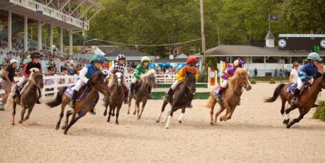 Devon Club will offer a great view of the Shetland Pony races, part of the excitement at the Devon Horse Show and Country Fair-photo by Brenda Carpenter.