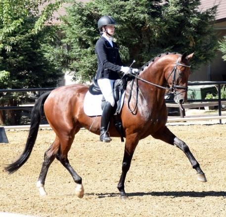 DG Edorijke ridden by Ashlyn DeGroot