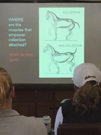Dr. Bennett's discussion on collection is illustrated in these two slides. (Photo: Phelps Media Group)