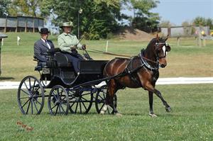 Tracey Morgan and Fuego 88 (Picsofyou.com)