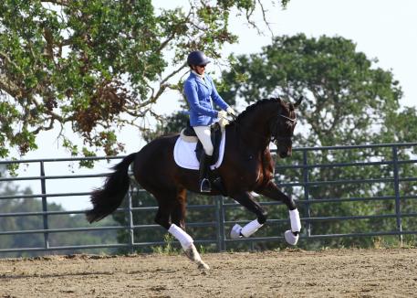 Kelly Casey and Emilion SA schooling (Photo: Lori Rocereto)