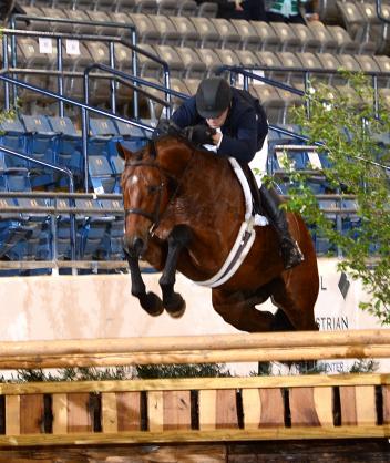 Evan Coluccio and Love Game. Photo by Teresa Ramsay Photography.