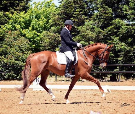 Famebria DG, Reserve National Champion Four-Year-Old. (Photo: courtesy of DG Bar Ranch)