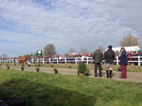 More than 1,500 spectators observed the FEI Horse Inspection at Rolex Kentucky Three-Day Event