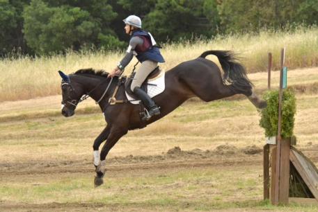 Frankie Theriot Stutes and Chatwin Win the Preliminary Challenge Horse Division. (Sherry Stewart photo)