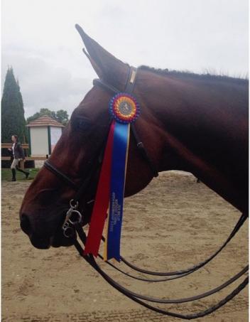 Helio Rouge with Tritschler's Region 1 Maclay Championship ribbon.