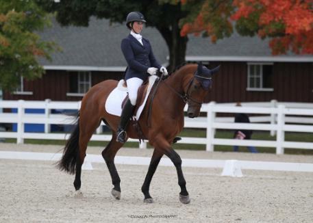 Hot Date (Hotline x Finalee/Webster) Hanoverian owned by The Pullen Family. 5th place FEI 6-Year-Old Test at Dressage at Devon 2014. Photo: Conklin Photography LLC