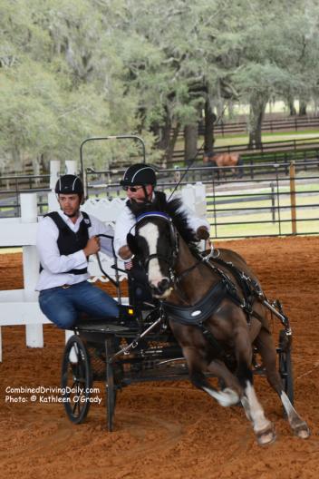 Cefnoakpark Bouncer and Wayne Humphreys with US Combined Driving Team veteran Joe Yoder as navigator Photo: © Kathleen O'Grady