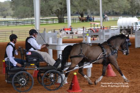 Showing the elegant trot that won many dressage tests, Cefnoakpark Bouncer and Wayne Humphreys with US Combined Driving Team veteran Joe Yoder as navigator negotiate a technical turn. Photo: © Kathleen O'Grady
