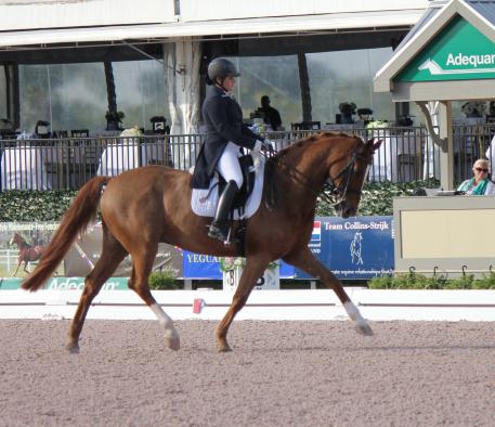 Tanya Strasser-Shostak and Deluxe Tyme, GumBits Happy Horse Harmony Award winners, at the 2015 Adequan Global Dressage Festival 