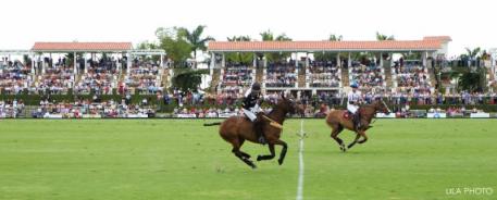 Players gallop down the field at IPC. Photo: LILA PHOTO.  