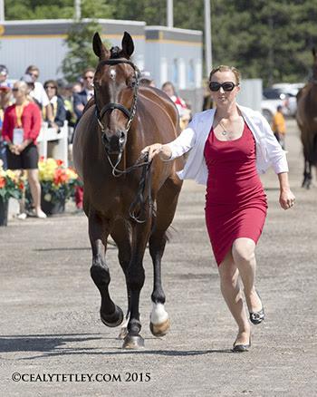 Jessica Phoenix, 31, of Cannington, ON, and Pavarotti will attempt to defend their Pan American Games championship title. (Photo © Cealy Tetley)