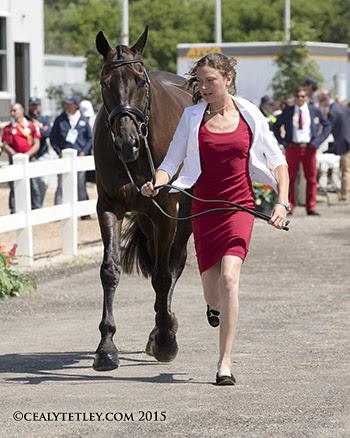In her major games debut, 29-year-old Kathryn Robinson will ride her veteran partner, Let It Bee. (Photo © Cealy Tetley)