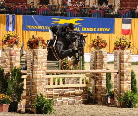 Mindful, ridden by Kellley Farmer, won the High Performance Working Hunter Championship (c) Al Cook - alcookphoto.com