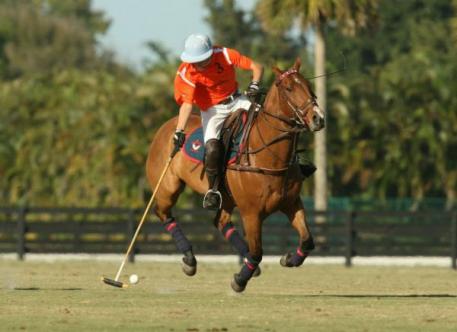Manuel Villamil. Photo: Alex Pacheco.