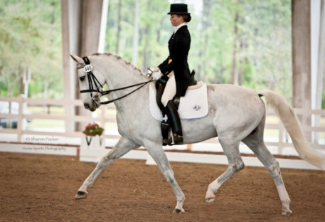 2010 Young Rider Qualifier Wellington, Florida. (Photo:Sharon Packer)