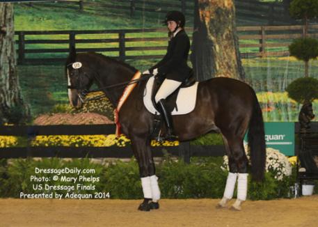 Jacquelyn McMaster and Paviano earned a 68.156 percent on Paviano, her own 17-year-old Dutch Warmblood gelding by Nimmerdor.