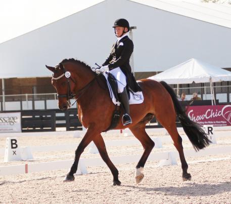 Pam Sweetman and Ricardo (KWPN by Gracio)