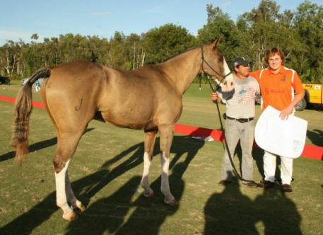 "Pampa" for Matias Gonzalez was Best Playing Pony. Photo: Alex Pacheco.