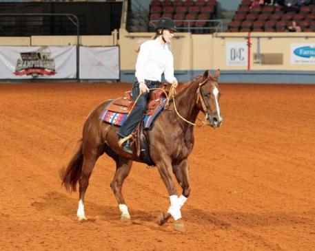 Two-time Paralympian Rebecca Hart riding Spookanne, a 2006 mare by Smart Spook and out of Annieote Freckles by Colonel Freckles. The mare was bred and is owned by Rosanne Sternberg of Sterling Ranch in Aubrey, Texas. Photo Courtesy of: The American Quarter Horse Journal.