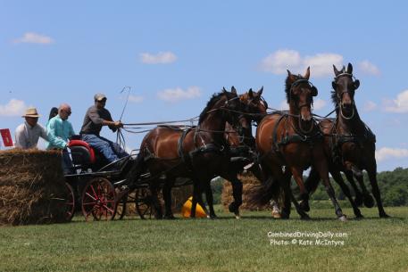 The Riverplains Four-in-Hand, driven by Jose Hernandez navigate the marathon obstacle in the Driving Derby