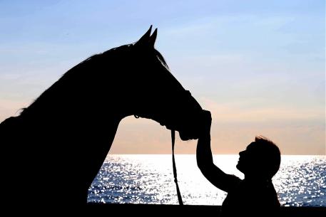 The horses enjoy the spectacular vista (Photo: Stefano Grasso/LGCT)