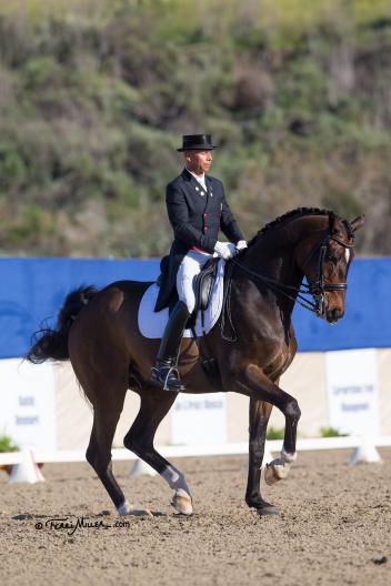 Steffen Peters and Legolas 92 (Photo: Terri Miller)
