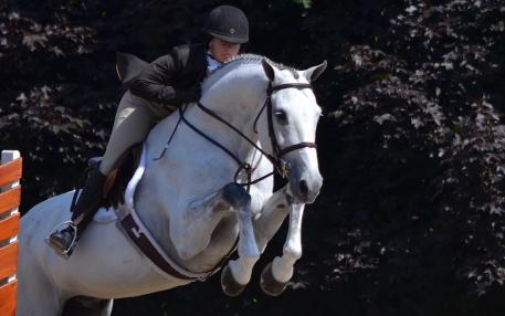 Tiffany Hammack and Ducati. (Photo: Chicago Equestrian) 