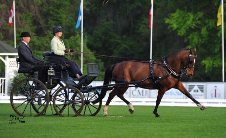 Tracey Morgan and Fuego 88 claim the FEI Single Pony win in dressage with a score of 43.84 at 2015 Live Oak International (Photo: PicsofYou.com) 