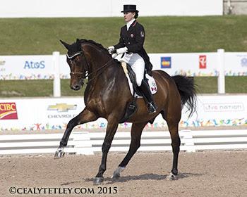 Belinda Trussell of Stouffville, ON, and Anton anchored the Canadian Dressage Team, which is currently sitting second following the opening day of team competition (Photo ©: Cealy Tetley - www.tetleyphoto.com)