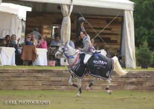Andres Rodriquez riding Darlon Van Groenhove, winners of the $40,000 Hollow Creek Farm  CSI 3* Grand Prix (Photo: (c)SEL Photography)