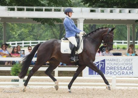 Emilion SA is leading the 5-year-old division (Carolynn Bunch Photography)