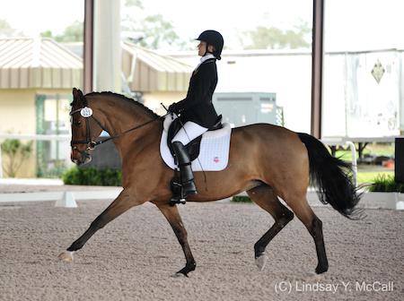Rebecca Hart and Schroeter's Romani, 2015. (Photo: (C) Lindsay Y. McCall)